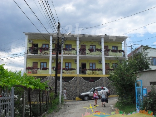 SDC12061