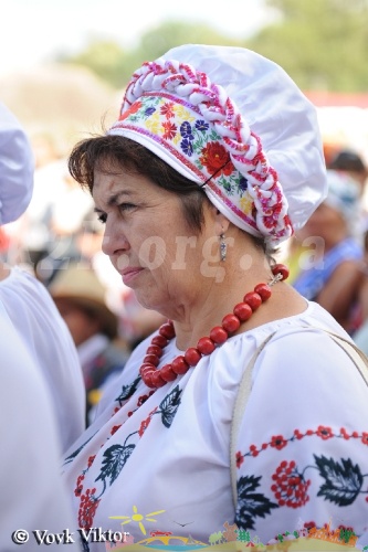 Сорочинці